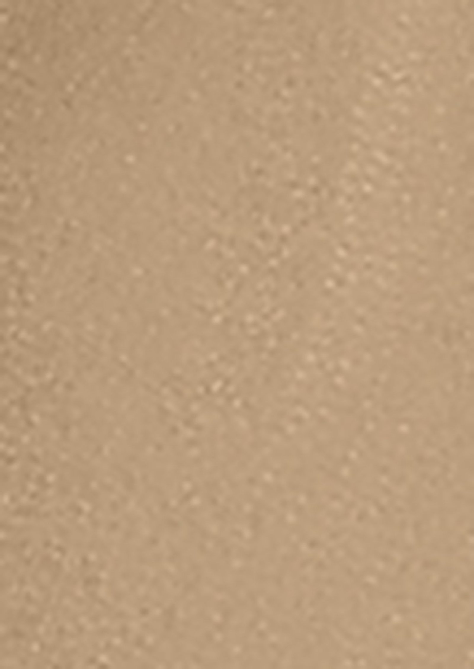 Beige Lehenga Set With Hand Embroidered Blouse - Image 3